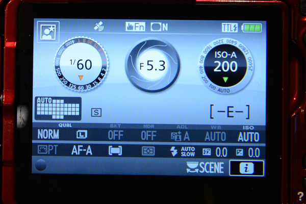 Nikon D5500 screenshot GPS icon