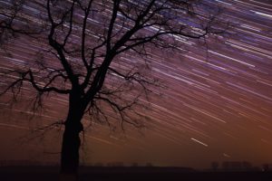 Startrails